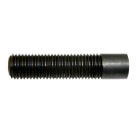 Adjustable press rod 109mm,M24, for 22 and 32 cylinder (1090-05,1090-02)